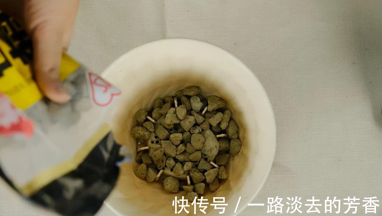 盆栽|怎样知道花卉要翻盆了?有5个表现就要注意,否则会严重影响生长