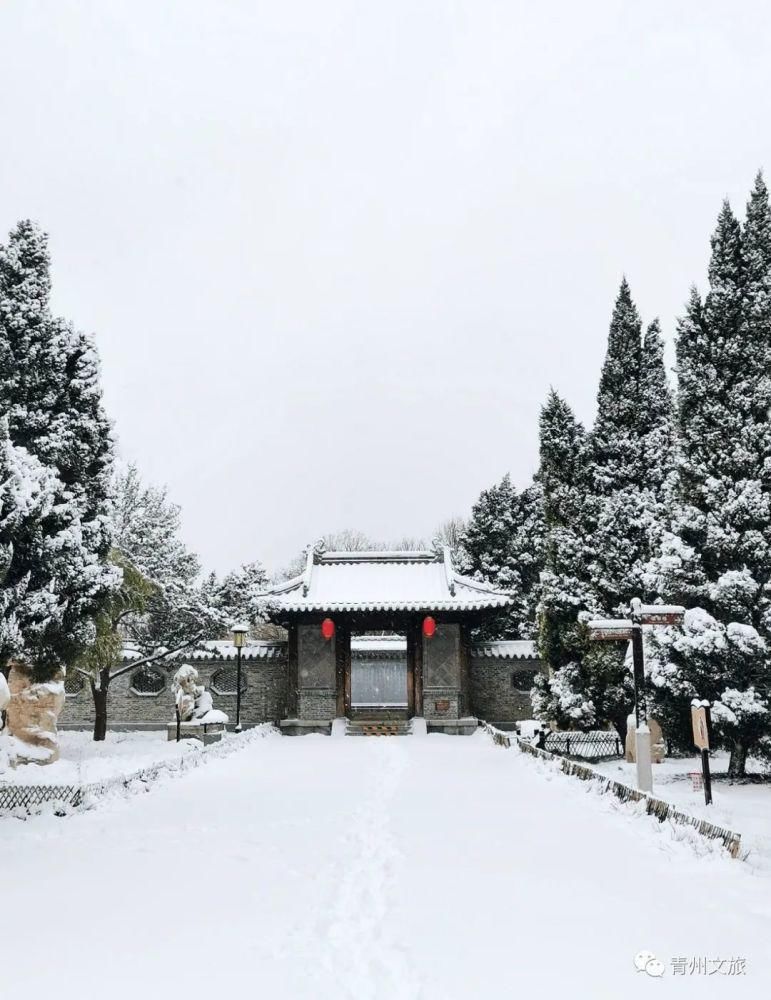 庚子年冬月，在青州古城听雪落下的声音～