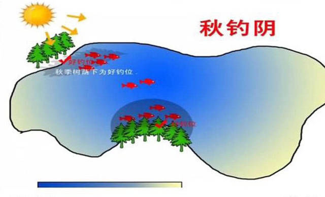 为什么老钓手常说“屁股决定渔获”附图说明