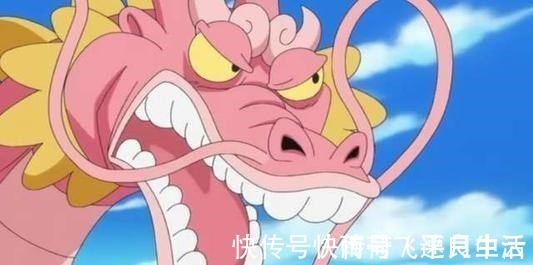 -5|海贼王人物志网友桃之助必须死。尾田笔给你,你来画