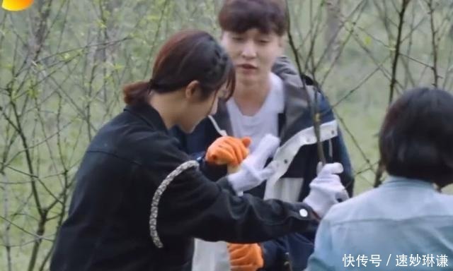 三个人 《向往5》变成了“享受生活”,三个人栽一棵树,只因为一只鸡