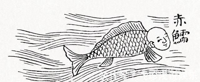 大鲵!人鱼是真实存在的吗?山海经给了我们答案,人面鱼身现存于世
