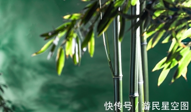 薛涛#秋竹美诗七首:直节亭亭易见心,舞闲阶碎影筛金