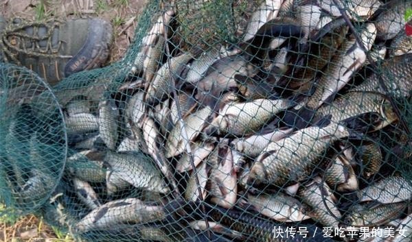 冬季天寒地冻,钓鲫鱼发窝更慢,打窝用这些招数,聚鱼效果翻倍