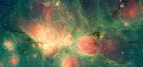 如果外星存在植被，那应该是什么颜色的？