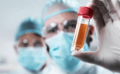 红细胞|孕妇的“完美血型”是什么这种血型的孕妈，生娃更具优势