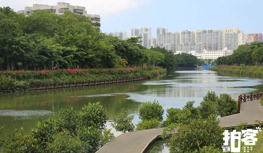 路线|海口推出5条元旦假期湿地主题旅游路线