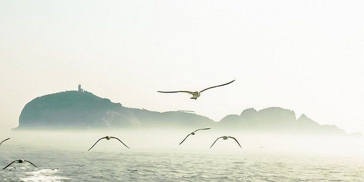 建军节|启光词6首:花艳香清凭寄托，相思人不觉