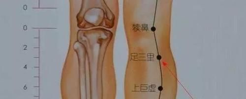 食物|有胃病的人,需要好好养胃,3种食物可常吃,不了解的不妨了解下