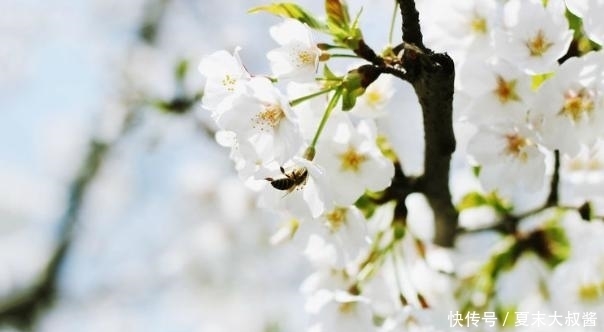 永存|未来两周，花开不落，大放异彩，不期而遇，真爱永存，深情永不改