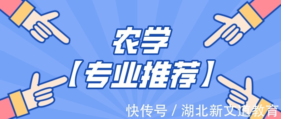 二级学科|考研最容易上岸的专业之一！年年都有倾向性扶持，真香！