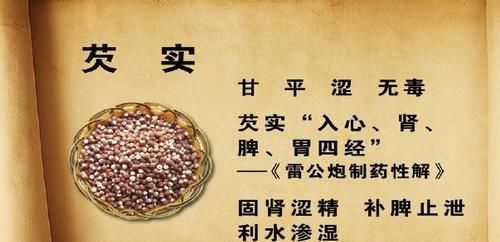  祛湿|这个植物是健脾高手！常吃能去湿气、调理脾胃，冬季吃它正当季