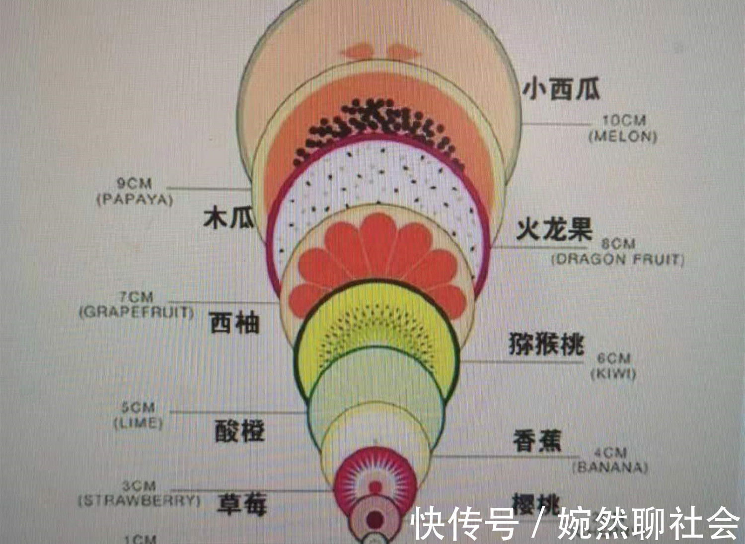 莉莉|顺产“开十指”到底是多大?用这些水果形象地告诉你,看完心疼了
