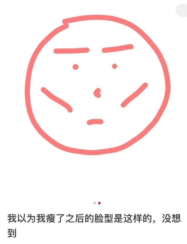 |今日笑话:下雨天出门的狗狗