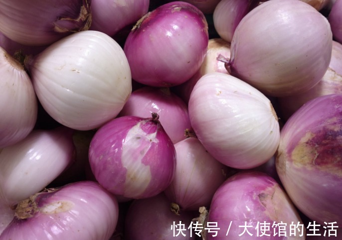 男性|补肾男性想要肾更强壮一治一个准,半个月后,立马枯木逢春!