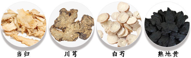 用于血虚|养血圣物:当归,还是补血调经、活血止痛、润肠通便的能手!