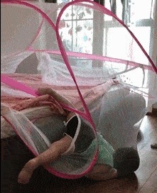 |搞笑GIF:当空姐也不容易啊,下班后没想到是这样子呢