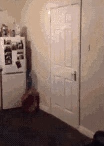 |搞笑GIF图:媳妇拍照时要注意穿着啊,别着凉了啊,哈哈哈