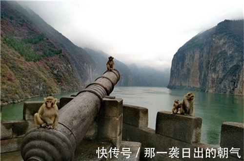 考据$有人说李白的“两岸猿声啼不住”写错了,这件事大家怎么看呢?