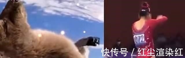 十大人物|2021年度中國(guó)體壇十大人物，國(guó)乒占據(jù)4席，前三位讓人熱淚盈眶