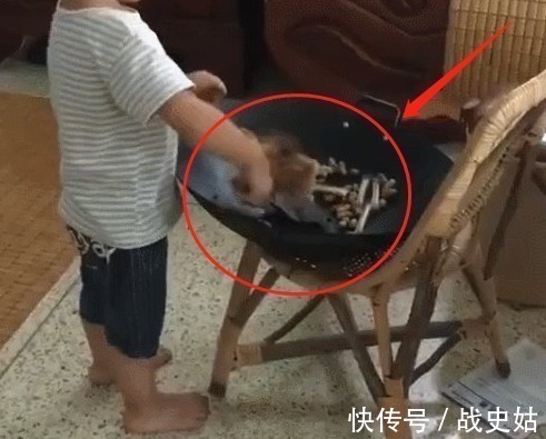 虐待|妈妈给宝宝买了只小鸡,上完厕所回来,孩子的行为让妈妈无法淡定