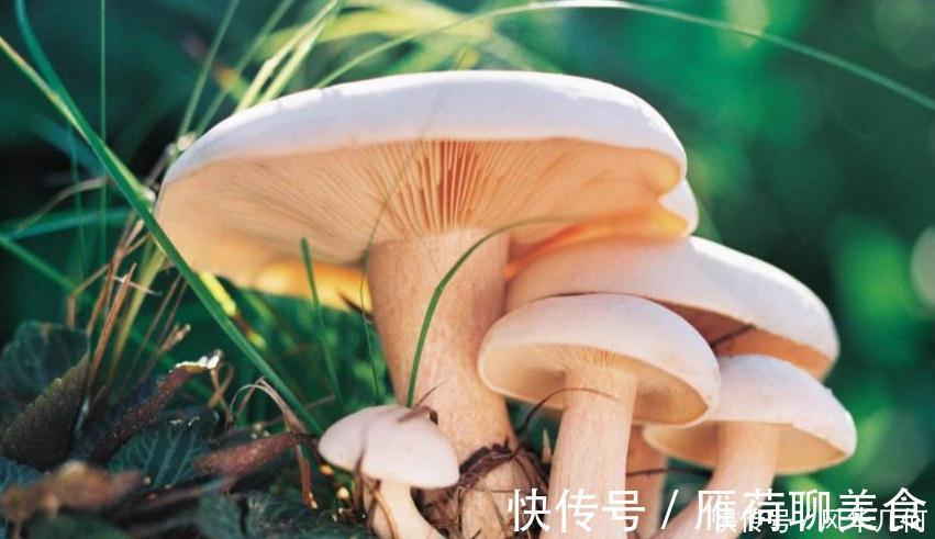 脱发|男性手脚冰凉,夜尿频繁,脱发,你要考虑补肾了,几种食物多吃