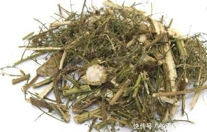 农村一种不起眼的野草,现如今随着人们对它的了解,变得金贵了!