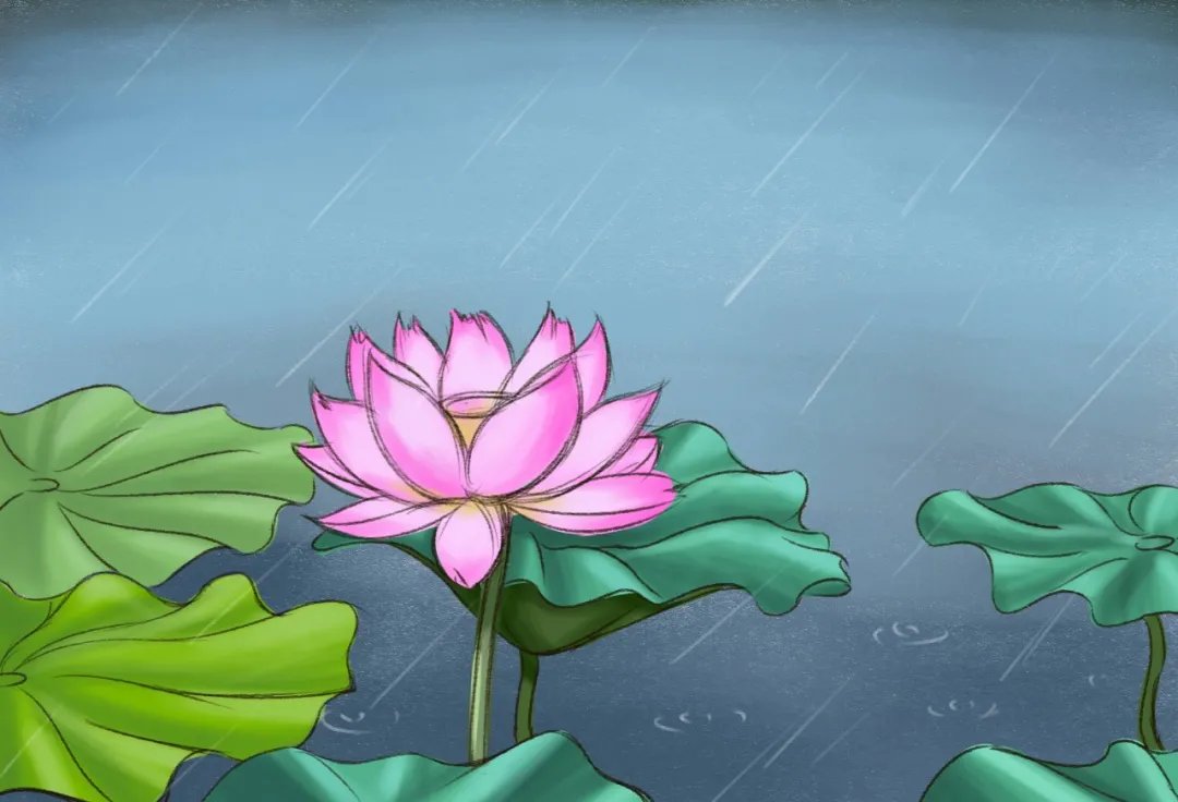 雨，一生的悲欢离合|诗词 | 梧桐叶