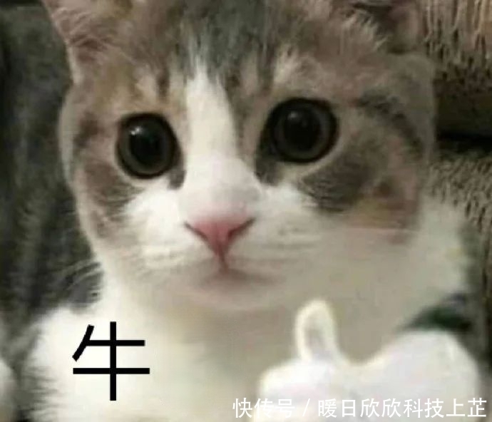 霸榜热搜,3天圈粉千万:这才是真顶流!