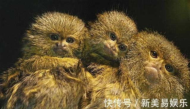 管娃神咒|一提就灵,外婆们世袭的“管娃神咒”,没想到有如此深的历史渊源