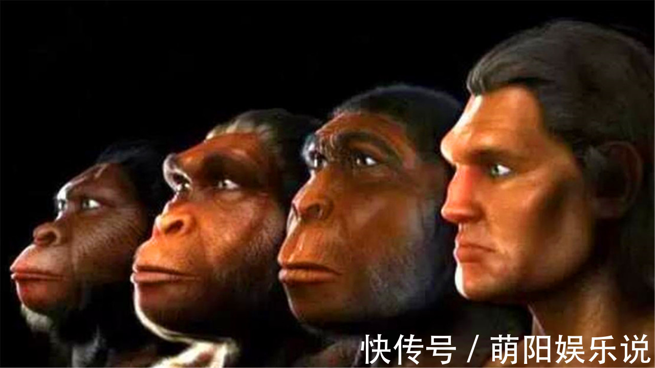 生育|为什么动物生育后代那么轻松,人类分娩时却疼得撕心裂肺?