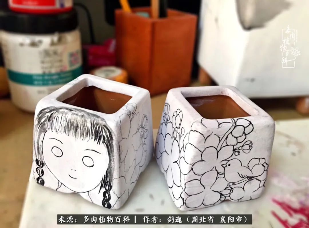 花盆|当美丽的多肉邂逅漂亮的手绘花盆,会是怎样的一种美