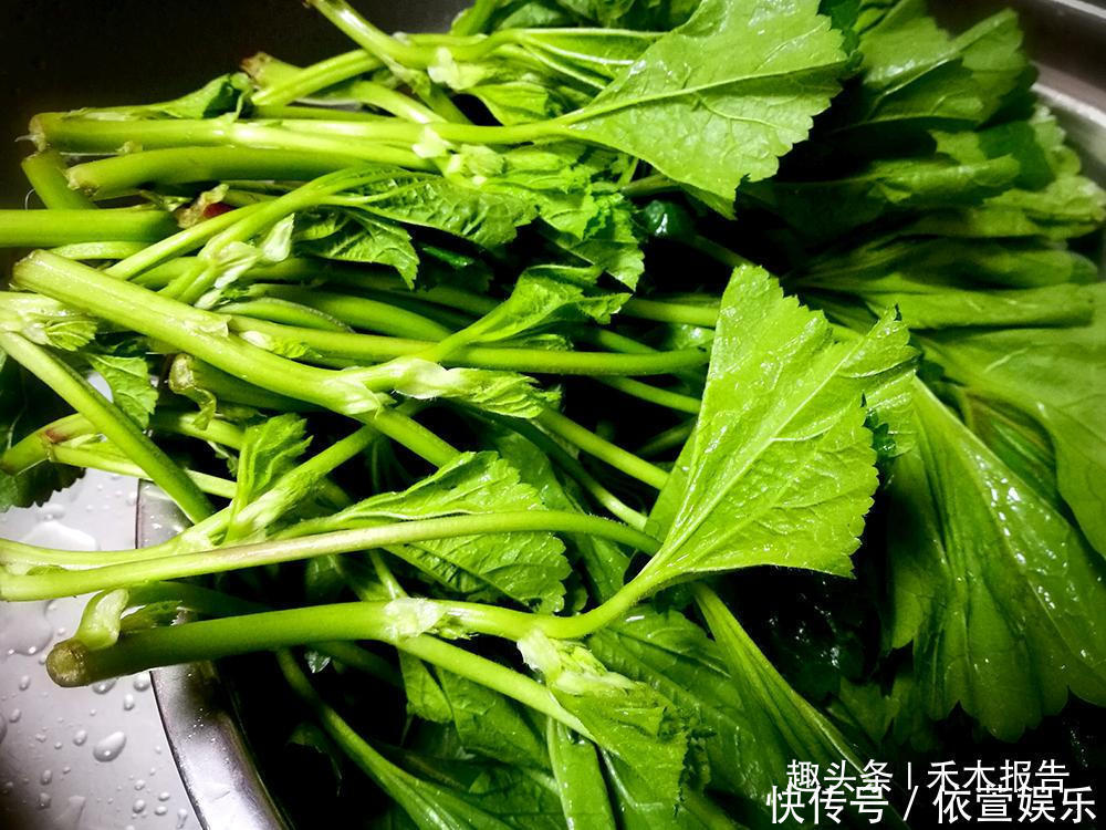 700年前是“蔬菜之王”,如今却沦为了野菜,少有人知它是高钙菜