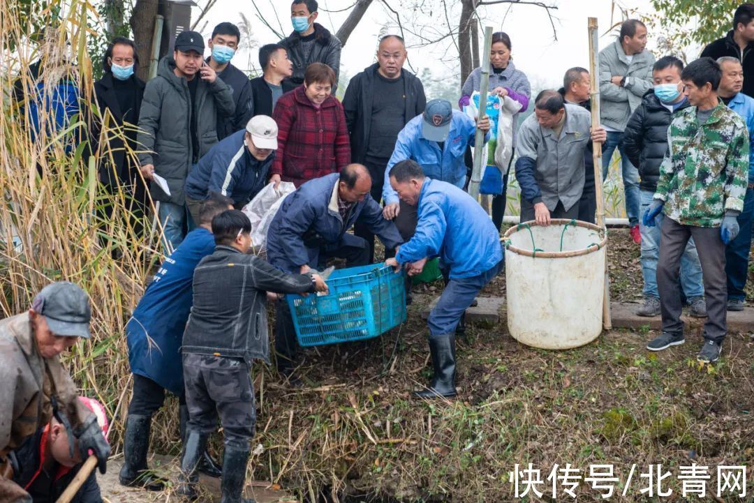 五水共治|大场面！凌晨6点杭州捕起“大家伙”！有人带着麻袋赶来