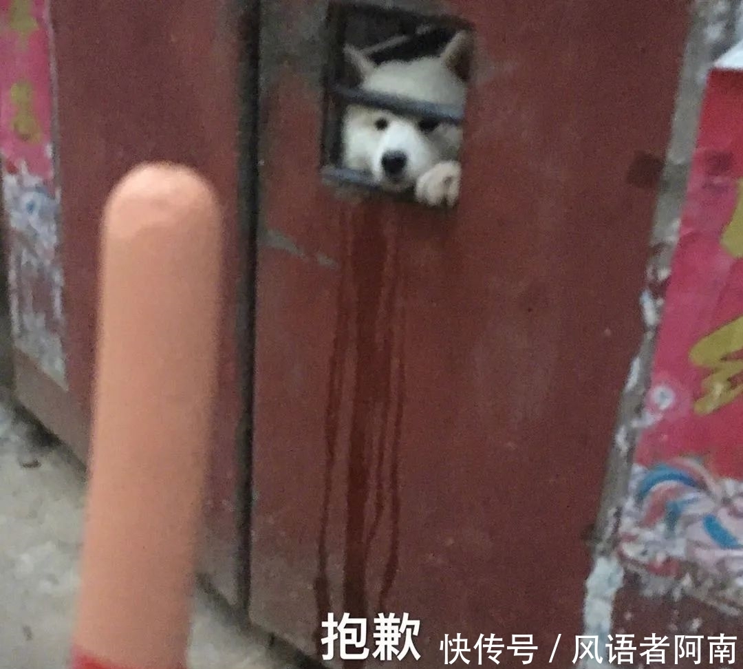 特色|中国哪个城市的土特产最好吃?