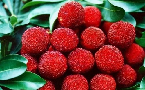 女性|女性想要皮肤好，不妨多吃的食物，美容养生，越吃越年轻