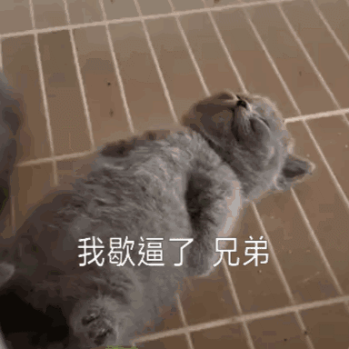 感人翻译软件——TTime,高颜值的免费翻译工具,啥都好,就是体积有点感人-HEU8