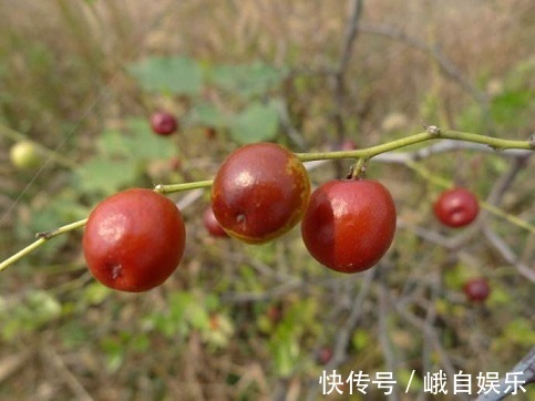 皱纹|专家提醒：常吃此水果，能淡斑抗皱、补血养颜，女人常吃身体好！