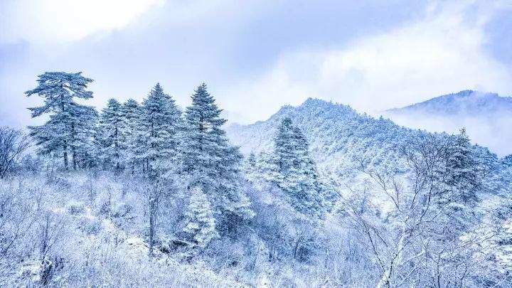 强寒潮今晚到！看雪去！这几个赏雪胜地美爆了！