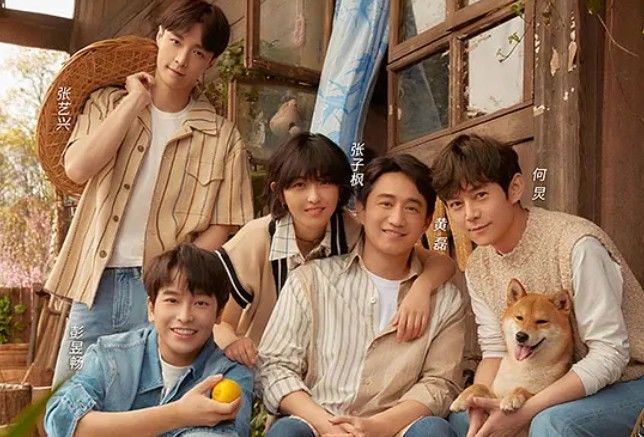 《大灣仔的夜》3個(gè)方面完勝《中餐廳》，足以撼動慢綜NO.1的地位