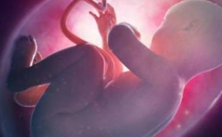 入盆|胎儿入盆原来会有这些感觉,很多孕妇都不懂