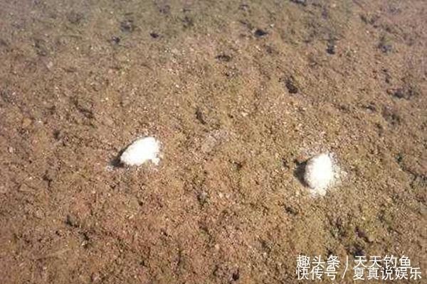 空枪|手竿钓鲤鱼的调漂要点,“空枪”太多,一定要试试这些调漂方法