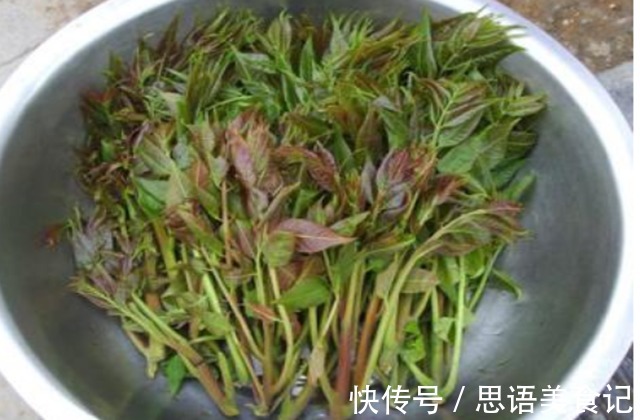 今言|明朝一位奇人,活了120岁,每天只吃两种食物,如今我们也爱吃