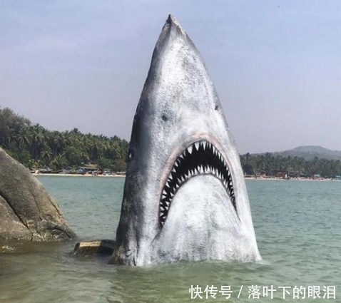 珠峰|印海滩有一块奇特的大白鲨巨石,露出尖牙利齿,成为网红打卡胜地