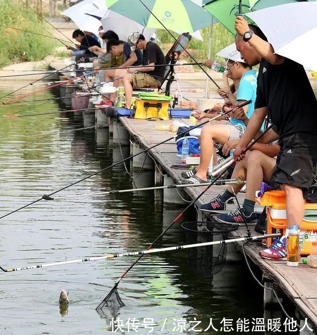 目数|带饵调平水,你得学会这样调才能更准