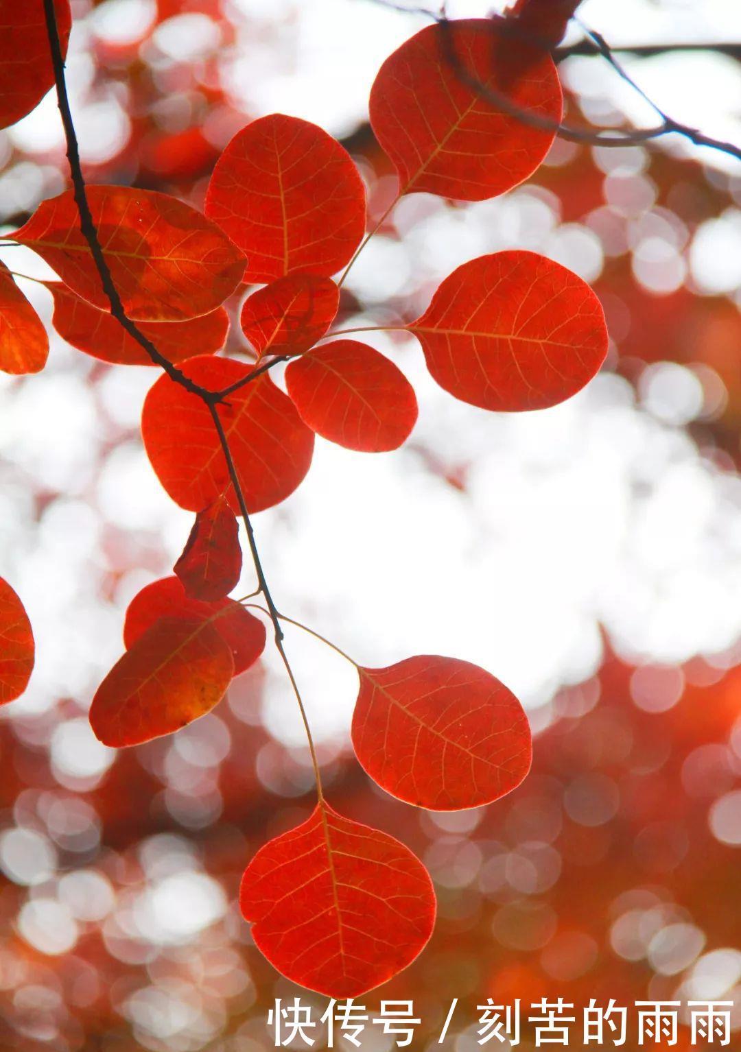 这是不是神仙居住的地方实在是太美了！