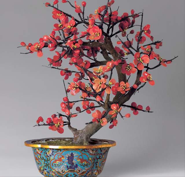 强光|6种植物摆放在客厅,不仅好看、寓意好,还可以“鼓舞”人心