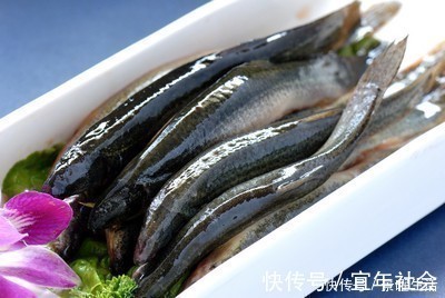 番薯番薯|养肝就是养命，这3种食物医生说是肝病的“死对头”，别忘记多吃