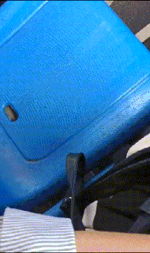 |搞笑GIF:女朋友很漂亮 就是脑子有点不好使