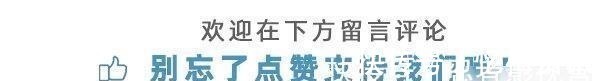 基本中国拳法|拳王泰森为何说李小龙是“杀手”,看他的训练方法,你就全明白了